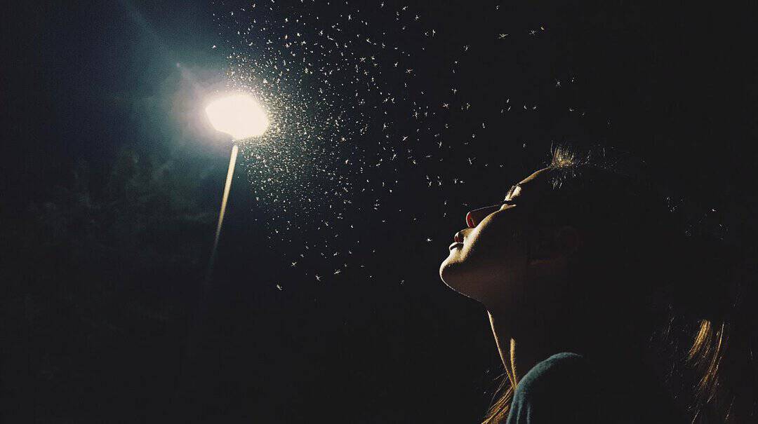 Mosquito Bites in Dreams Spiritual Interpretations-2.jpg
