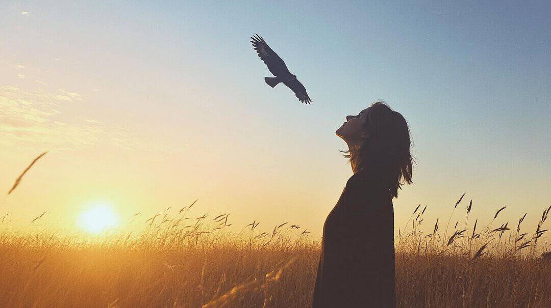The Spiritual Meaning of Seeing a Buzzard-1.jpg