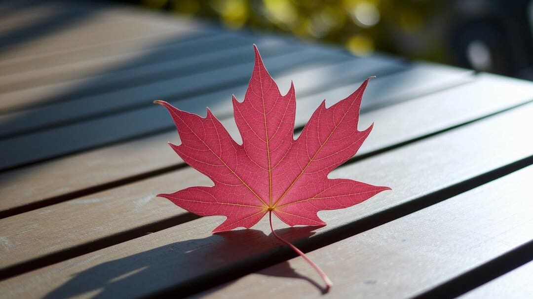 - Healing, Abundance and Personal Growth with the Maple Leaf.jpg