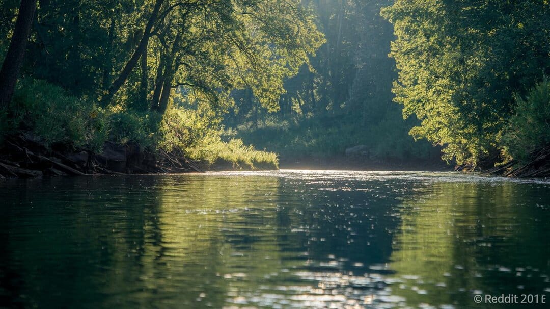 - Personality Traits and Energetic Qualities of River Namesakes.jpg
