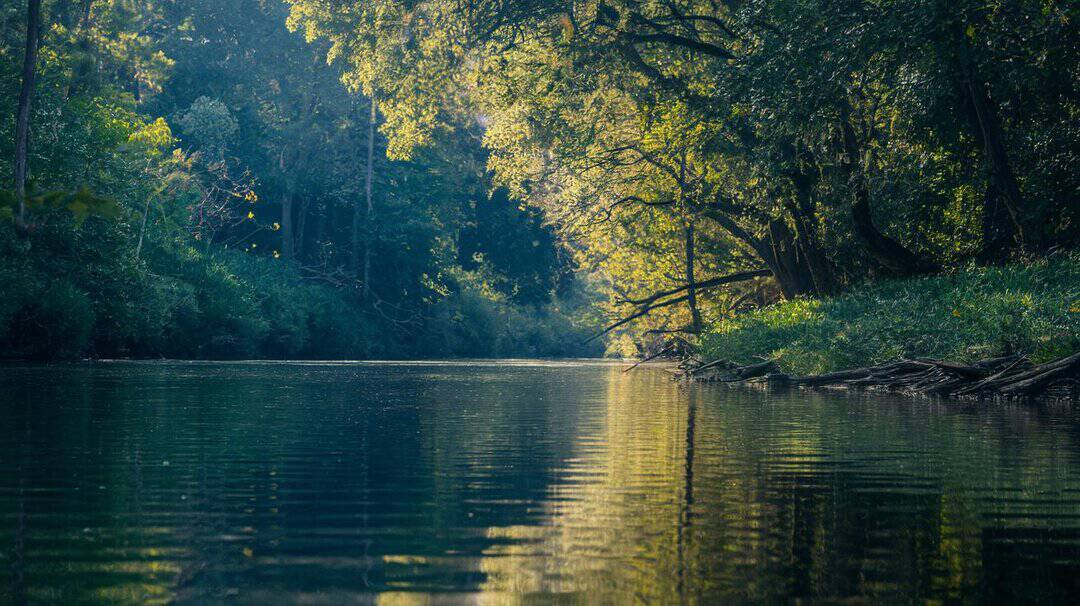 - Rituals, Affirmations, and Practices to Amplify Rivers Vibration.jpg
