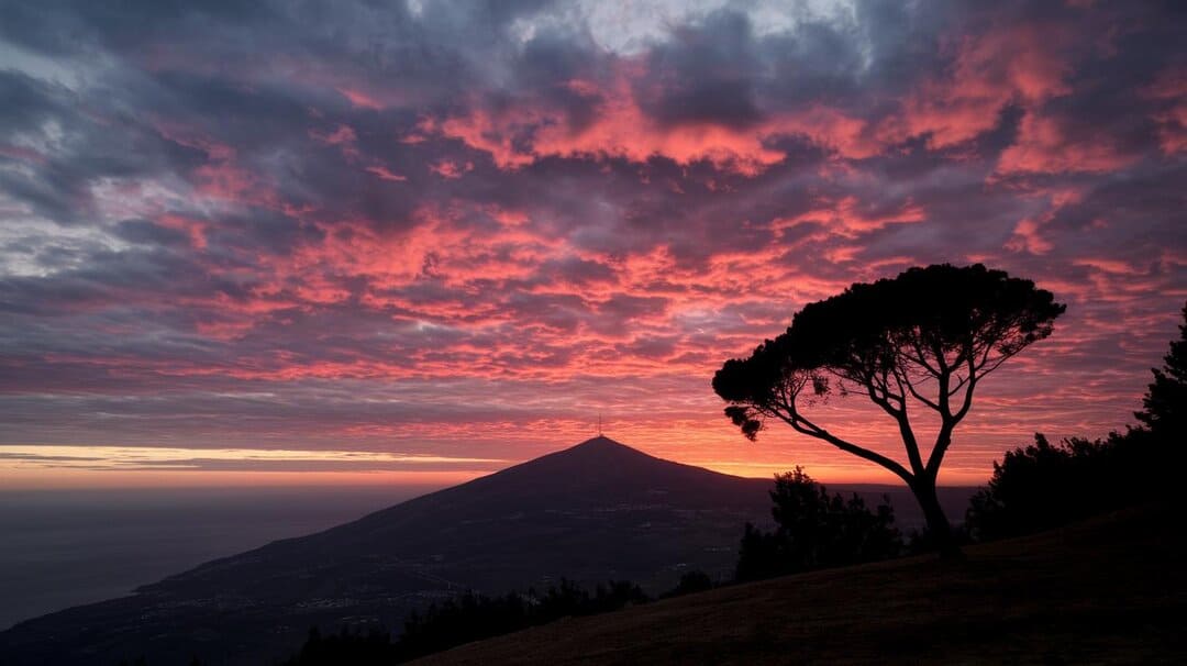 - Elijahs Key Symbolic Themes Fire, Drought, and Restoration.jpg