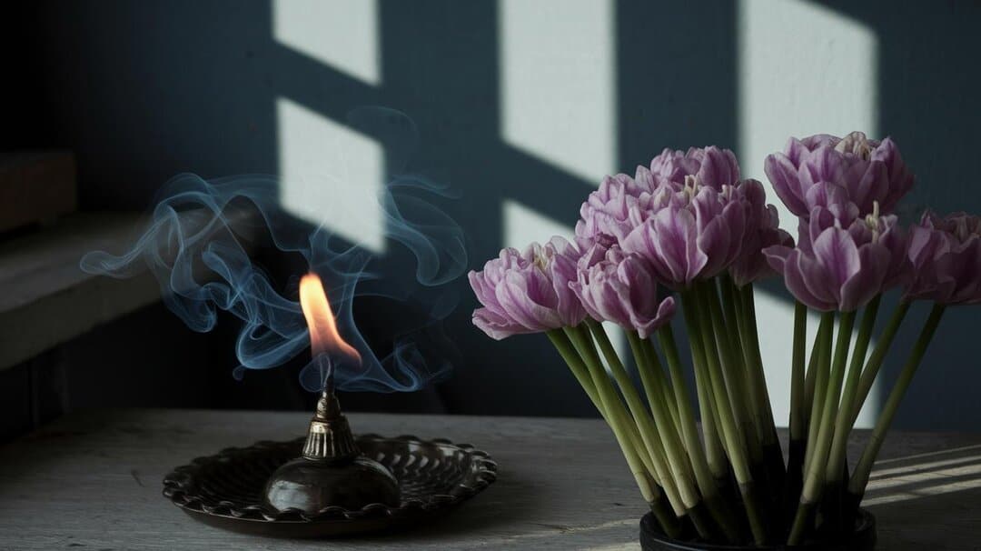 - Ritual Uses and Meditation Techniques Featuring Queen of the Night Blooms.jpg